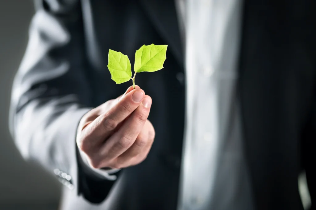 Business person holding a sprout with two green leaves